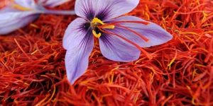 Rempah Saffron