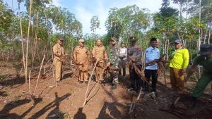 Respons Cepat Satuan Jajaran TNI AD olah Lahan Tidur Jadi Lahan Produktif