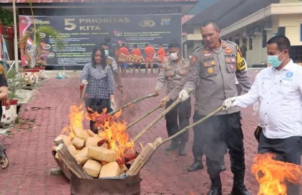 Polres Madina Memusnahkan 91 Bal Barang Bukti Ganja