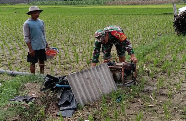 Jaga Tersedia Air, Babinsa Kendalrejo Mendampingi Pengaliran Pompa Air Pok Tani Sari Murni