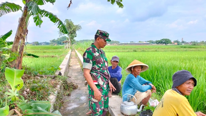 Komsos Babinsa Teras Bersama Petani Desa Kopen Terjalin Erat